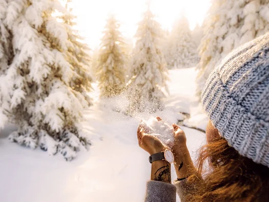 Reppert, Ihr Hotel in Hinterzarten im Schwarzwald Frau wirft Schnee in einem sonnigen, verschneiten Tannenwald in die Luft