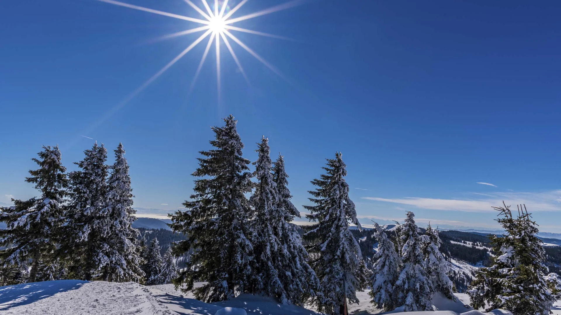 Reppert, Ihr Hotel in Hinterzarten im Schwarzwald Verschneite Tannen vor blauem Himmel mit strahlender Sonne und winterlicher Berglandschaft