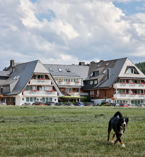 Reppert, Ihr Hotel in Hinterzarten im Schwarzwald Großes Hotelgebäude mit grauen Dächern in grüner Landschaft