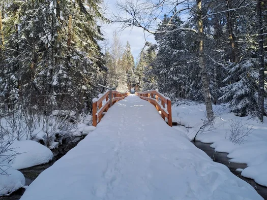 Reppert, Ihr Hotel in Hinterzarten im Schwarzwald Verschneite Holzbrücke über einen Bach in einem winterlichen Wald