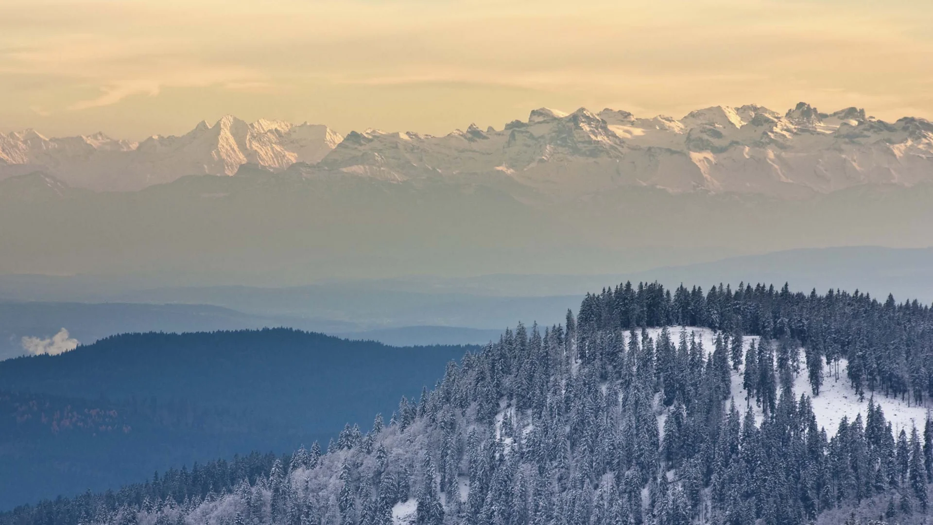 Reppert, Ihr Hotel in Hinterzarten im Schwarzwald Verschneite Bergwälder vor einer Bergkette im warmen Abendlicht